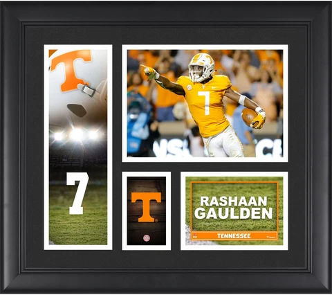 Rashaan Gaulden Tennessee Volunteers Framed 15" x 17" Player Collage Cover
