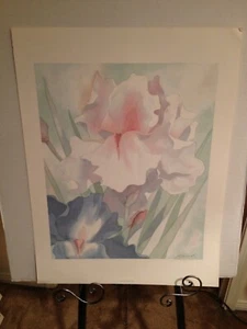 Stampa "Iris Garden II" di Robert White artista litografia 25" L x 19" W - Foto 1 di 2