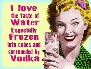 I Love The Taste Of Water, Especially Frozen... Vodka funny fridge magnet   (og) - Picture 1 of 1