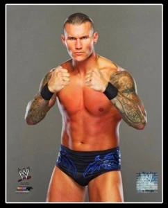 WWE RANDY ORTON OFFICIAL LICENSED 8X10 WRESTLING PHOTO PHOTO FILE 7 - Picture 1 of 1