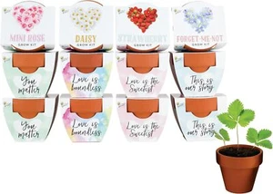 Seeds Terracotta Mini Grow Pots | Herb, Plant, Flower Starter Kit ,Kids Adults | - Picture 1 of 6