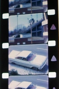 MEMPHIS ZOO HOME MOVIE SHORT 16MM FILM MOVIE ROLLED NO REEL Aa14-1 - Picture 1 of 15