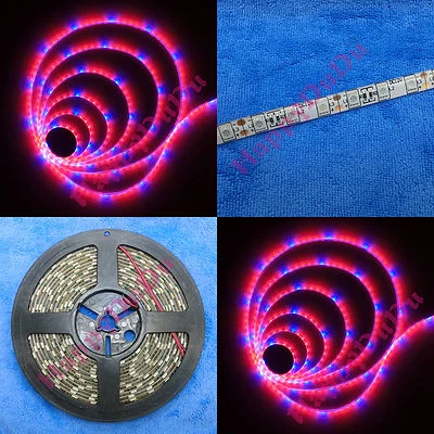 3.28ft ~65.6ft Blue 455nm + Red 660nm 1:5 LED 5050 Flexible Strips Light Plant - Image 1 of 2