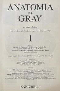 AA. VV. ANATOMIA DEL GRAY 1985 Zanichelli - Foto 1 di 3