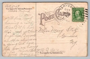 Varysburg NY New York Poststempel Duplex Stempel Blume Postkarte Cover 1909  - Bild 1 von 2