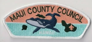 BSA, Maui County Council S-5a CSP, kleines "Hawaii", Pfadfinderzeug Unterstützung - Bild 1 von 1