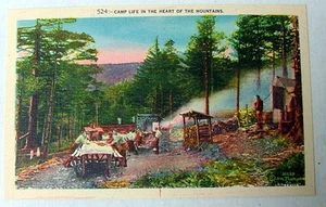 LAGERLEBEN IM HERZEN DER BERGE POSTKARTE NORTH CAROLINA TENNESSEE - Bild 1 von 2