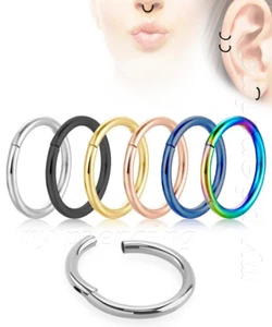 Klappbarer nahtloser Segmentring Reifen Ohrring Knorpel Tragus Labret Septum - Bild 1 von 13