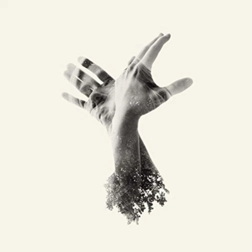 The Last Dinosaur The Nothing (Vinyl) 12" Album - Photo 1/1