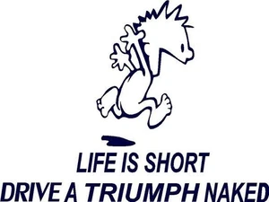 Life Is Short, Drive A Triumph Naked Vinyl Decal Home Décor 4" x 6" - Picture 1 of 1