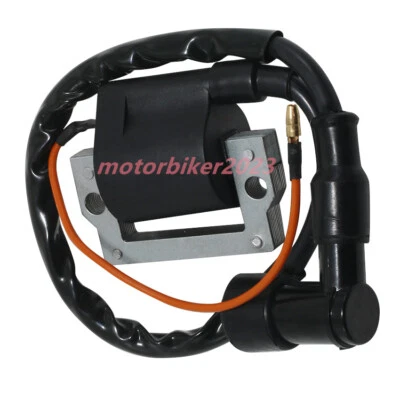 Conjunto de bobina de encendido para Yamaha MX100 MX175 FS1 LB80 DT80 DT125 DT250 IT175 DT400 Foto 1 de 4
