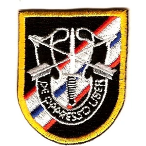 46th Special Forces Group Flash with Crest Patch - Bild 1 von 6
