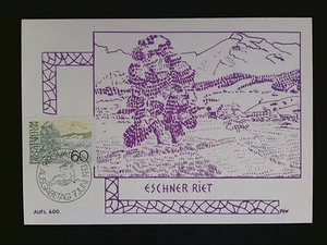 LIECHTENSTEIN MK 1973 585 FREIMARKE MAXIMUMKARTE CARTE MAXIMUM CARD MC CM c8123 - Bild 1 von 2