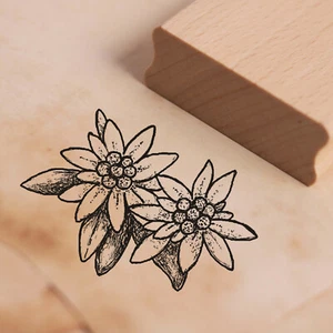 Edelweiß - Motivstempel Stempel Holzstempel Pflanzen Abdruck 48x37cm 🎁 - Bild 1 von 2
