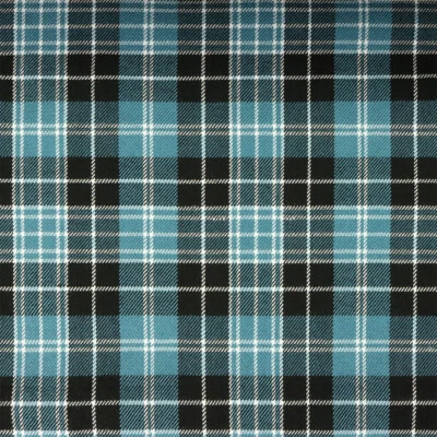 Tartán Clark Antiguo Hilado en Casa Poli/Lana REMANENTE 53" X 24" Foto 1 de 2