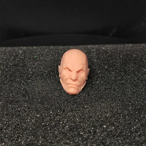 Blank 1/10 Scale Star Wars Darth Malgus Head Sculpt Unpainted Fit 7" Neca Figure - Picture 1 of 3