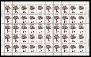 Canada Stamps — Full Pane of 50 — 1979, International Year of the Child #842 MNH - Picture 1 of 1