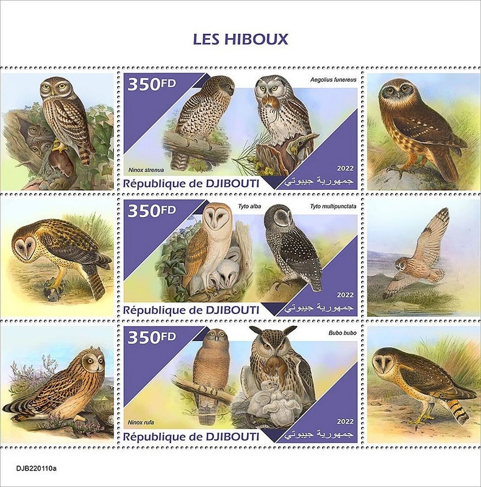Owls BIRDS OF PREY Birds/Bird MNH 3v-Stamp Sheet #2293 (2022 Djibouti) — 第 1/1 张图片