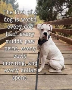 Inspirierender Hund Kühlschrankmagnet 3 1/2 x 4 1/2" - Bild 1 von 1