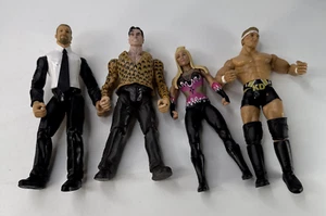WWE Wrestling action figure lot of 4 Corporate, Natalya, + - Picture 1 of 10