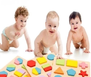 Geometric Sorting Wooden Puzzle Shapes Bricks Math Preschool Learning Toys - Picture 1 of 5