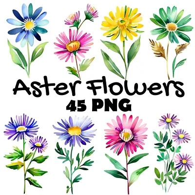 Aster Flower Abstract Watercolor Digital Download Clipart Bundle PNG For Crafts - Image 1 of 4
