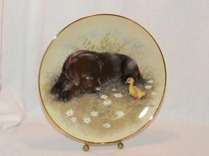 Taking a Gander First Impressions Collector Plate Knowles China / Black Labrador - Picture 1 of 10