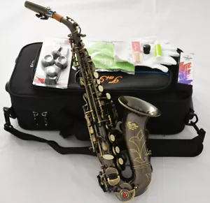 Professional TaiShan Bb Soprano Saxophone Curved Antique Bronze Sax High F# New - Picture 1 of 8