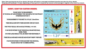 Pontiac Firebird  Eagle White Toner Water Slide Decal Set For H-W  1/64 - Picture 1 of 3