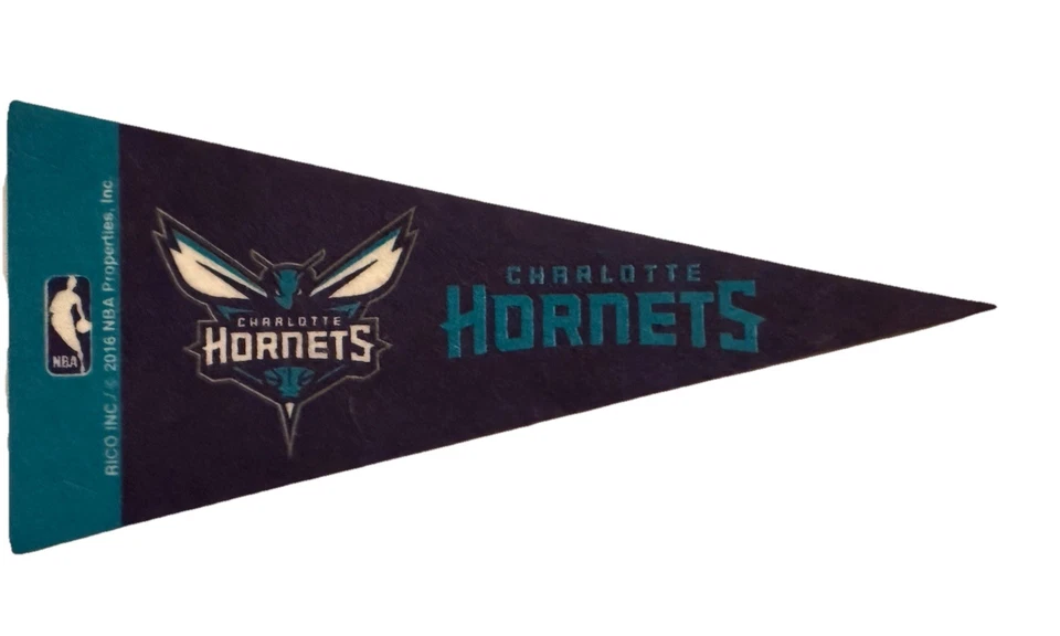 Charlotte Hornets Mini Pennant 4”x9" Wall Felt Flag NBA Basketball USED - Image 1 of 1
