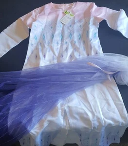 Elsa Kostüm Eiskönigin Mädchen Anna Kleid Kinder Frozen Prinzessin Karneval - Bild 1 von 3