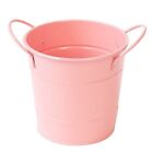 Pen Holder,Small Metal Buckets with Handle Round Pencil Holder for Kids1045
