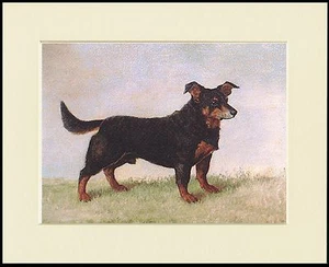 LANCASHIRE HEELER SCHÖNER KLEINER HUNDEDRUCK IM ALTEN STIL - Bild 1 von 1