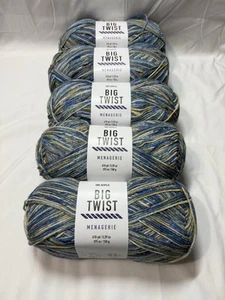 Lot of 5 Big Twist Menagerie Yarn, Parrotfish, 150g/410yds/375m - Picture 1 of 3