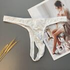 Mens Underwear Briefs Trunks Pouch Sexy Soft Stretchy T-Back Thong Bikini