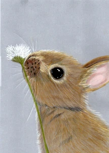 Colour pencil Original Art picture Adorable Bunny Rabbit sniffing dandelion GIFT - Picture 1 of 3
