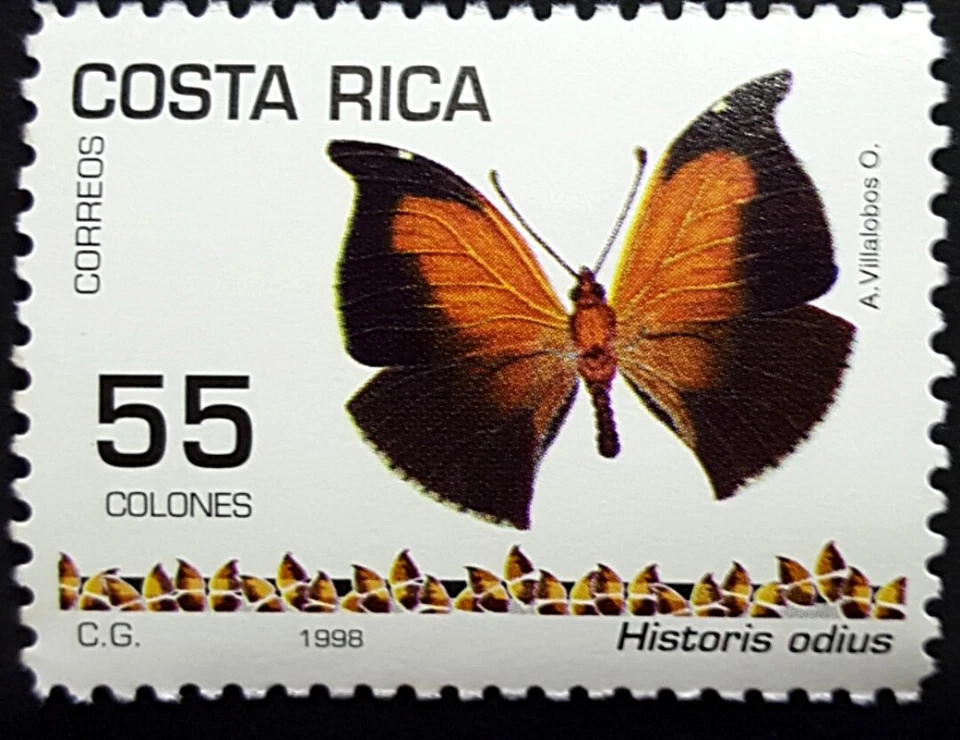 Estampillas de Costa Rica Mariposas 55 colones SC 516 1998 como nuevas nunca montadas Foto 1 de 2