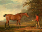 Oil painting portrait young man feeding his horse with little dog Hand painted