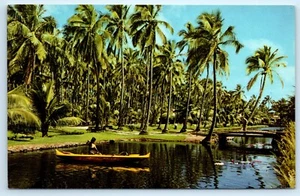 POSTAL Tranquila Laguna de Palmeras de Coco en la Isla de Kauai Hawaii - Imagen 1 de 2