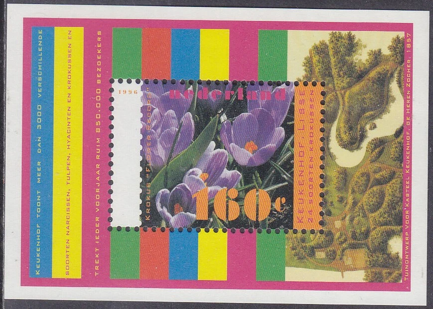 Netherlands Issue 1996 (SS 1671) Mint never Hinged - Image 1 of 1