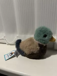Jelly Cat I Am Birdling Mallard Retired Brand New With Tags Collectable - Picture 1 of 4