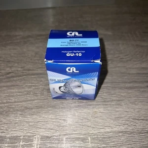 Cal Lighting BO-77 Flood Lamp 21.00 inches, Clear Bulbs - Picture 1 of 2