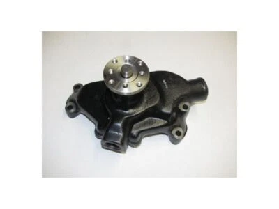 Bomba de agua Pontiac Acadian 1968-1970 99359VK 1969 Foto 1 de 2