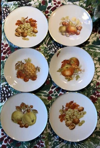 Sei piatti da dessert bavaresi Jaeger 7” frutta dipinti bordati oro vintage NUOVI Germania - Foto 1 di 12