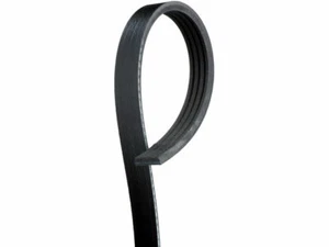 Multi Rib Belt 8QDP85 for Maxima Murano Quest Altima 240SX 2005 2004 2003 2009 - Picture 1 of 1