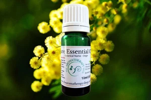 Ägyptische Mimose ätherisches Öl - Bild 1 von 5