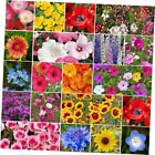  Wildflower Mixed Seeds for Planting, 1 lb, 480,000+ Seeds 1 Pound All Annual