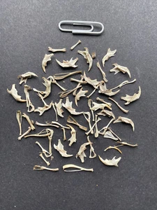 50 Barn Owl pellet bones for crafting jewellery making collecting nature - Picture 1 of 2