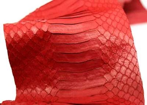 Asia Cobra Snake Skin Snakeskin Leather Hide Craft Supply Back Cut Red - Picture 1 of 3