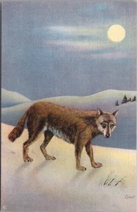 Postal de colección de animales de Alaska de 1932 "American Wild Life - TIMBER WOLF" lino - Imagen 1 de 2